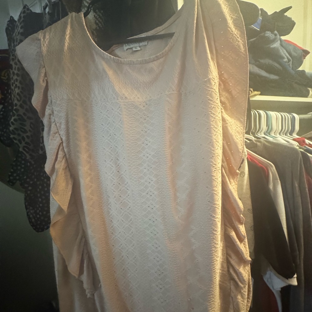 Luxology Blush Ruffle Sleeve Blouse